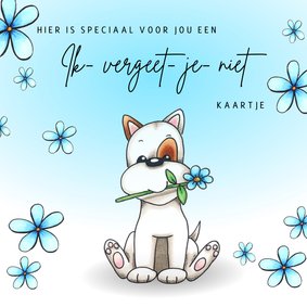 Zomaar kaart ik vergeet je niet kaartje met hond