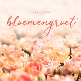 Zomaar kaart oranje tulpen lieve bloemengroet