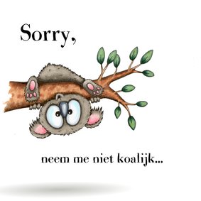 Zomaar kaart sorry koala