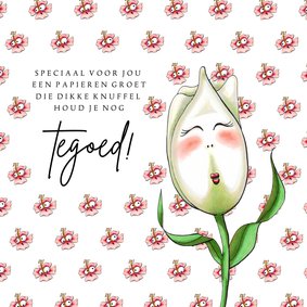 Zomaar kaarten Tulp knuffel tegoed