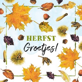 zomaar kaartje met herfst groetjes