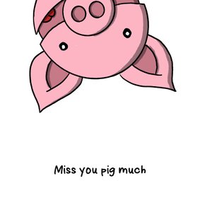 Zomaar miss you pig much