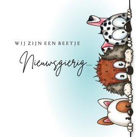 Zomaarkaart drie nieuwsgierige honden