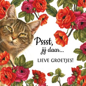 Zomaarkaart Pssst jij daar lieve groetjes bloemen en katten