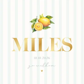 Zomers geboortekaartje met citroenen en blauwe streepjes