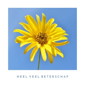 Zonnige beterschapskaart met foto van een zonnebloem