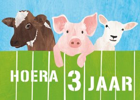 3 jaar koe varken en schaap