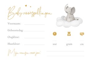 Babyshower baby voorspellingen invulkaartje olifantje hartje