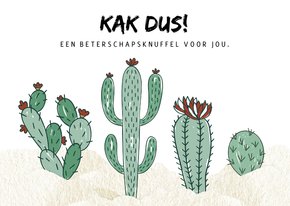 Beterschapskaart Cactus
