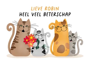 Beterschapskaart - groepje katten met een bosje bloemen