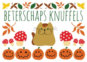 Beterschapskaart - Kat herfst