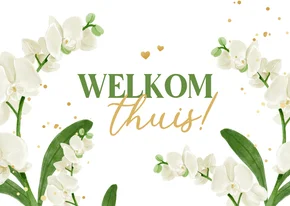Beterschapskaart welkom thuis orchidee goud hartjes