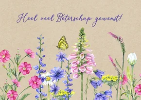 Beterschapskaartwilde bloemen