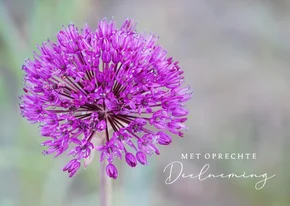 Condoleancekaart foto sierui met oprechte deelneming