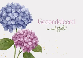 Condoleancekaart gecondoleerd bloemen hortensia paars