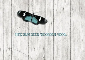 Condoleancekaart houtlook vlinder geen woorden voor