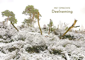 Condoleancekaart winterlandschap