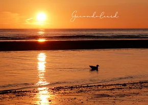 Condoleancekaart zonsondergang Noordzee meeuw gecondoleerd