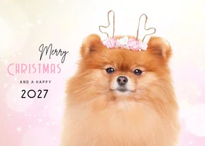 Dieren Kerstkaart - Pomeranian rendier roze