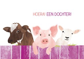 Een dochter met koe varken en schaap