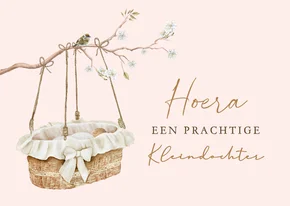 Felicitatiekaart geboorte meisje rotan wiegje met baby.