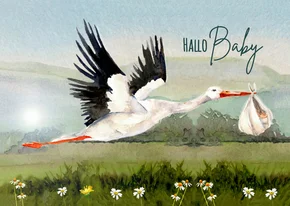 Felicitatiekaart geboorte ooievaar met baby