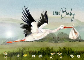 Felicitatiekaart geboorte ooievaar met baby