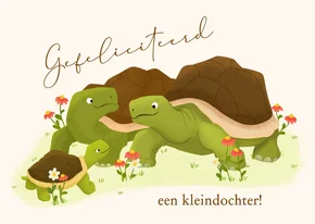 Felicitatiekaart oma en opa geworden - schildpadden