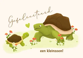 Felicitatiekaart oma of opa geworden - schildpadden