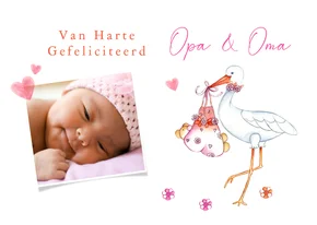 Felicitatiekaartkleinkind ooievaar