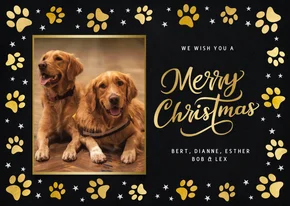 Fotokaart kerstmis - met foto van hond en gouden pootafdruk