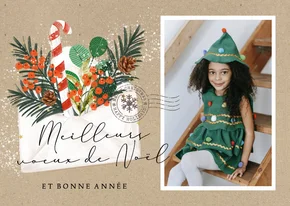 Franse nieuwjaarsgroet envelop kersttak foto stempel