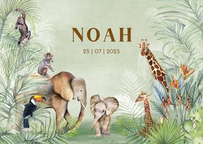 Geboorte dieren in jungle