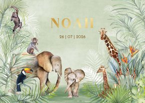 Geboorte dieren in jungle