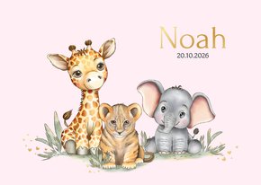 Geboortekaart girafje olifantje en leeuwtje