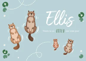 Geboortekaartje broertje otters familie water blauw 