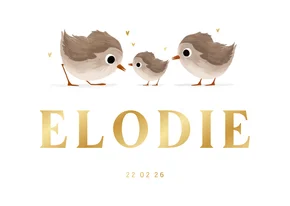 Geboortekaartje derde broertje of zusje met vogeltjes