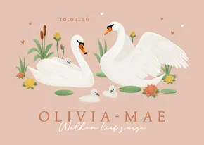 Geboortekaartje derde kindje zwanen lief lente zusje