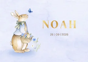 Geboortekaartje jongetje met vintage konijntje met bloemen