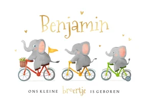 Geboortekaartje unisex broertje zusje dieren olifantjes goud