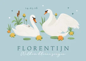 Geboortekaartje zwaan waterlelie blauw stijlvol gezin