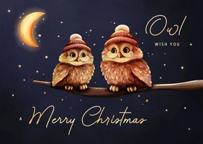 Grappige kerstkaart owl wish you uiltjes met maan