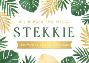 Hip verhuisbericht een nieuw stekkie in jungle stijl