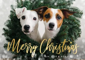Hippe kerstkaart met grote eigen dieren foto en sneeuwkader