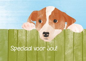 Hondje speciaal voor jou