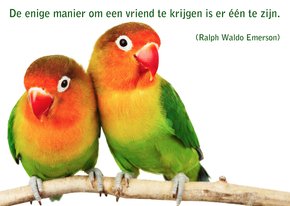 Kaart met spreuk vogel