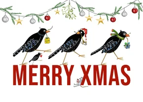 Kerst - vogels met kerstkadootjes