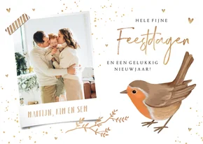 Kerstkaart goud fijne feestdagen roodborstje foto hartjes