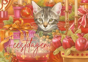 Kerstkaart kitten tussen kerstkadootjes