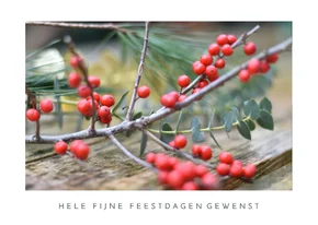 Kerstkaart met foto van takje met rode besjes
